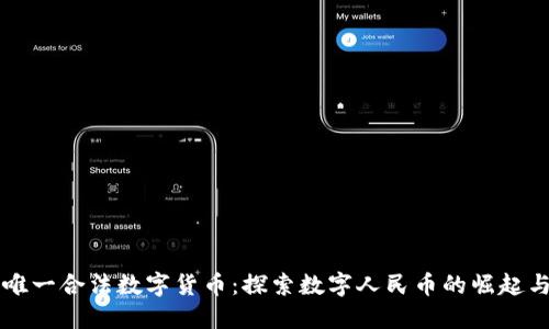 中国唯一合法数字货币：探索数字人民币的崛起与未来